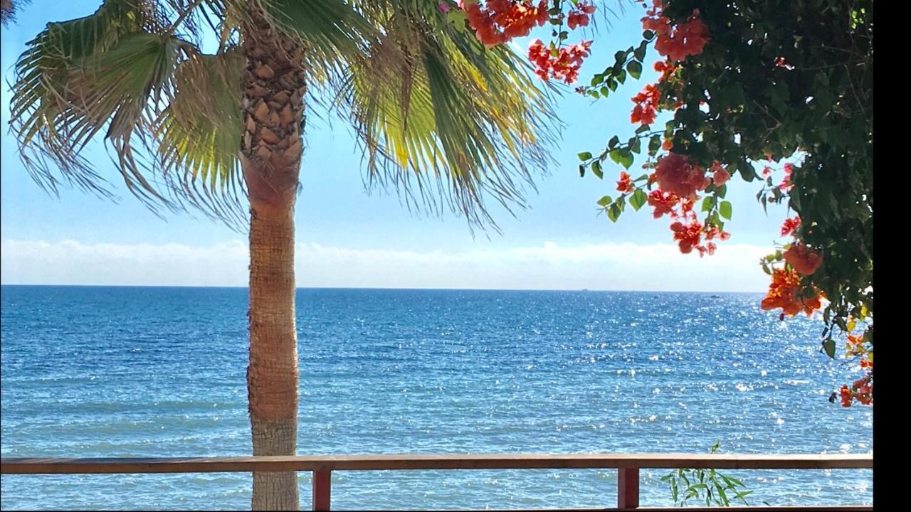 Mi Capricho 4C Beachfront -Apartment With Sea View - Costa Del Sol Sitio de Calahonda エクステリア 写真